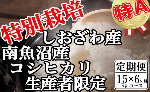 【令和7年産】【定期便：15Kg×6ヶ月】特別栽培 生産者限定  南魚沼しおざわ産コシヒカリ
