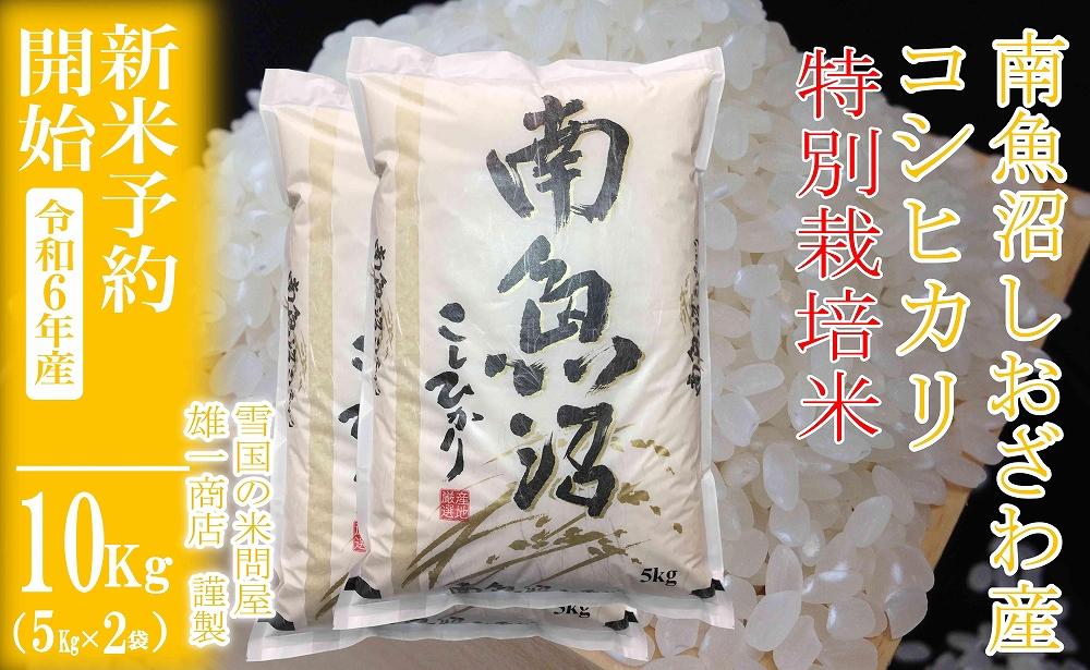 【新米予約・令和6年産】精米10Kg ※特別栽培※生産者限定 南魚沼しおざわ産コシヒカリ