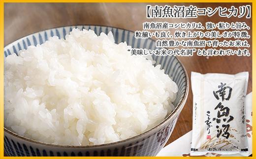 譁ー貎溽恁 蜊鈴ュ壽イシ逕」 繧ウ繧キ繝偵き繝ェ 縺薙@縺イ縺九j 縺顔アウ 2kg テ4蛟 險8kg 邊セ邀ウ 鬲壽イシ 邀ウ 轤翫″譁ケ繧ャ繧、繝我サ倥″