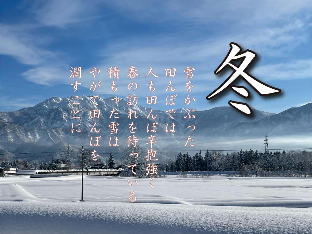 ã什å7幎ç£ããåéæ²Œç£ãã³ã·ãã«ãª çœç±³3kgãéæç±³ ãã©ã³ãç±³ 粟米 ããã²ãã ã³ã·ãã«ãª éæ²Œç£ æ°æœç±³ ç£å°çŽé ãç±³ ç±³ ãã ã³ã¡ ã飯 埡飯 ãã¯ãã