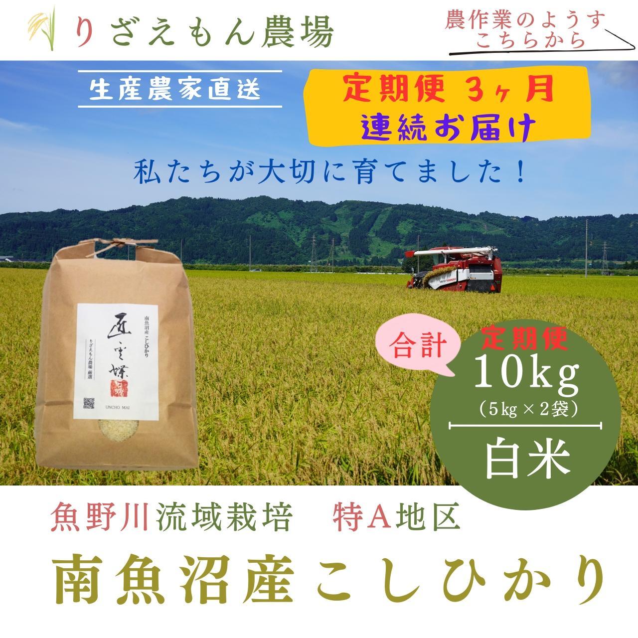 《新米予約受付》【定期便3回×10kg《合計30kg》】令和６年産　南魚沼産コシヒカリ　白米10kg＼生産農家直送／