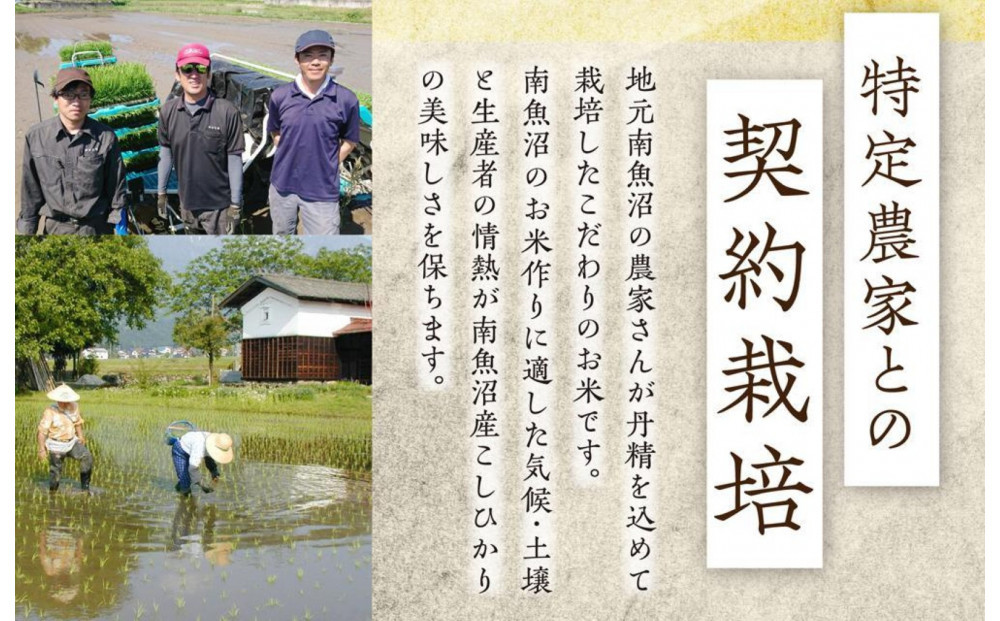 豌キ貂ゥ辭滓仙漉鬲壽イシ逕」縺薙@縺イ縺九j縲繝代ャ繧ッ縺秘」ッ180gテ48