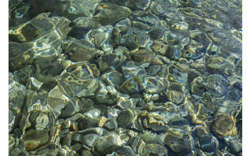 新米予約【令和8年産】【定期便】南魚沼塩沢産コシヒカリ「然然」　農薬5割減栽培　玄米10kg（5kg x 2） x 全12回【2026年10月上旬より1ヶ月以内に順次発送予定】