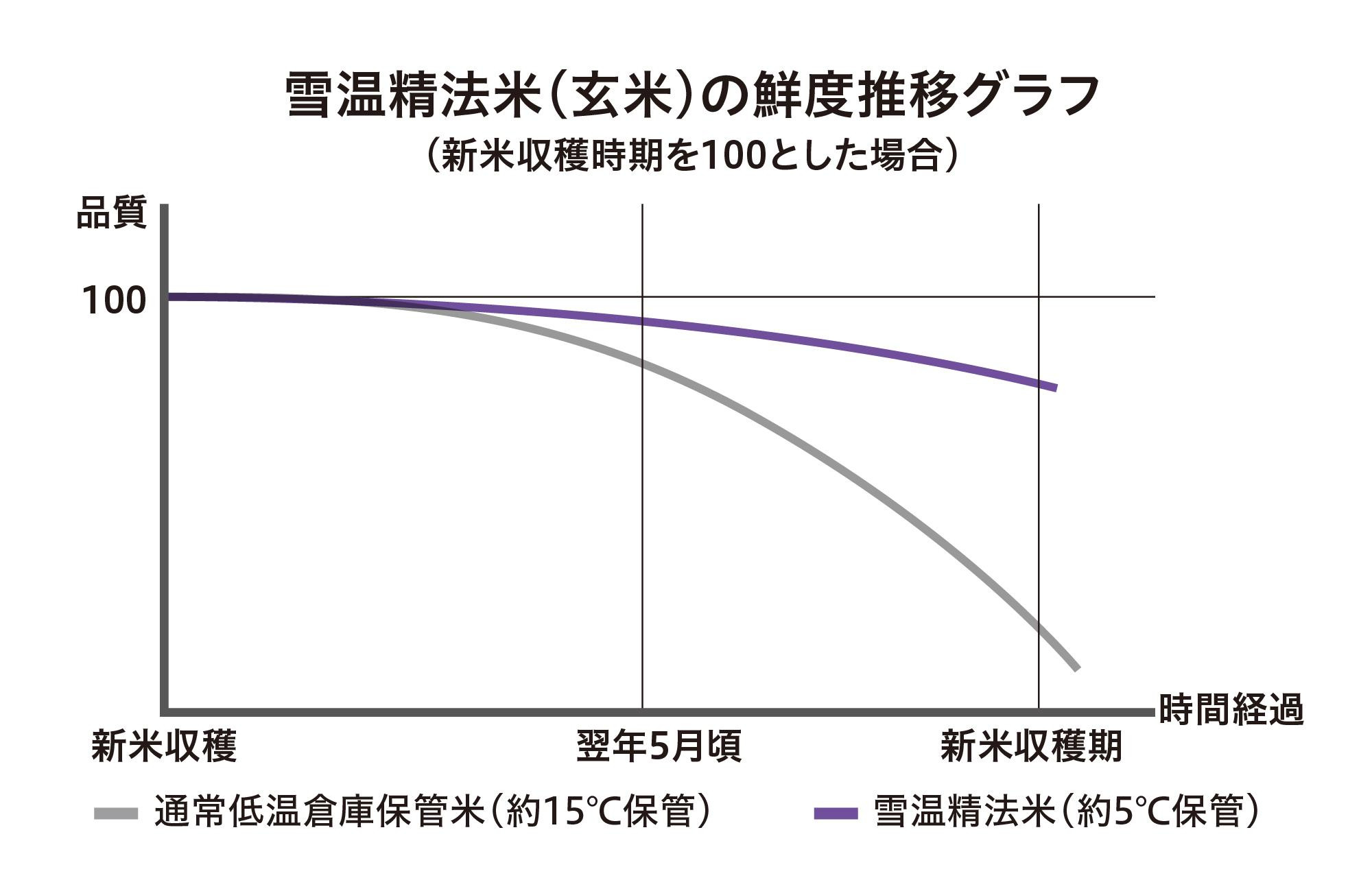 【令和7年産　頒布会】南魚沼産こしひかり（5kg×全12回）契約栽培　雪蔵貯蔵米