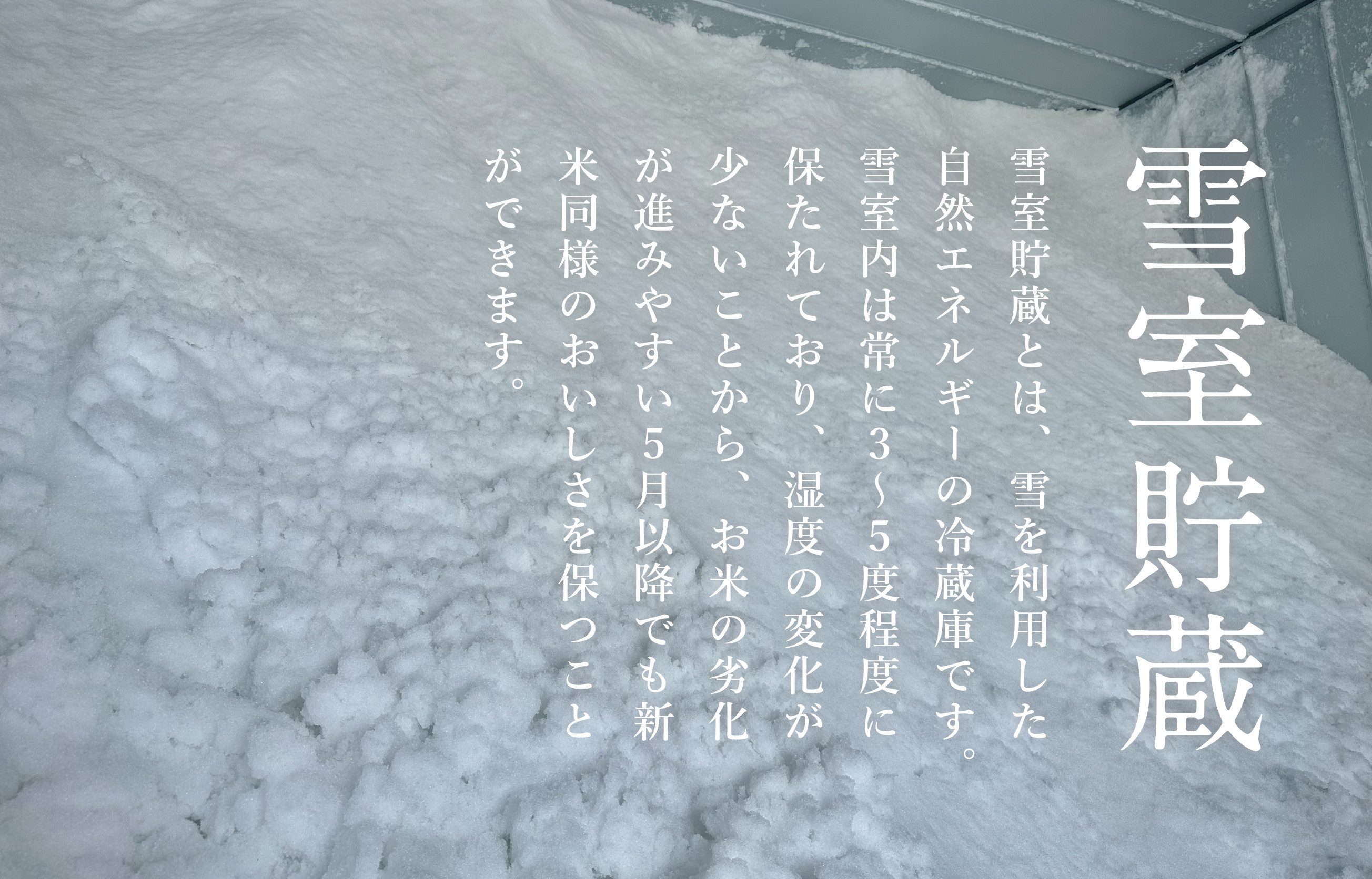 ã什å7幎ç£ããããã§ãã·ã§ãã«åºæŒ 颿ºæŽãã€ããæé«çŽ ç¡èŸ²è¬æ œå¹ç±³5kg åéæ²Œç£ã³ã·ãã«ãª