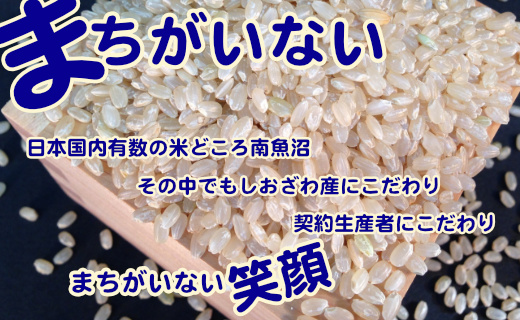 【定期便】玄米 生産者限定 南魚沼しおざわ産コシヒカリ5Kg×6ヶ月