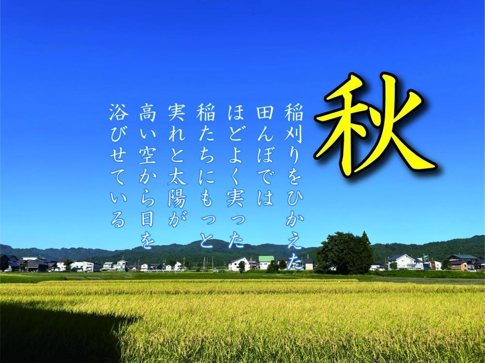 【令和7年産】【南魚沼産】コシヒカリ 白米2kg【銘柄米 ブランド米 精米 こしひかり コシヒカリ 魚沼産 新潟米 産地直送 お米 米 こめ コメ ご飯 御飯 ごはん】