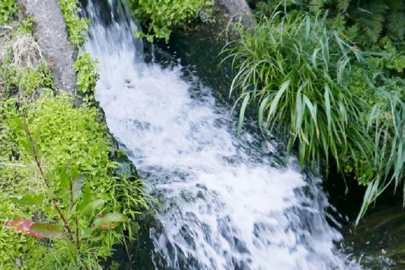 縲撰シイ7蟷エ逕」縲大漉鬲壽イシ逕」繧ウ繧キ繝偵き繝ェ邊セ邀ウ10kg 螻ア譛ャ螳カ縲仙セ捺擂蜩∫ィョ縲