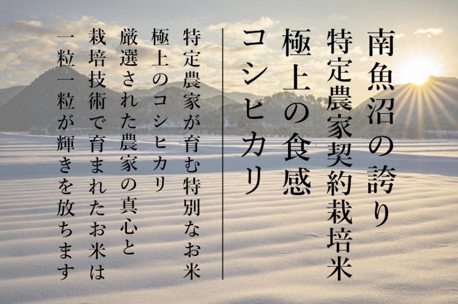 【OZAWA＆HIROTA】　精米各5ｋｇ食べ比べセット　内閣総理大臣賞受賞×南魚沼産コシヒカリ食味コンテスト優秀賞受賞　特A地区　南魚沼産コシヒカリ