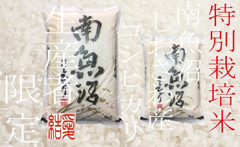 【定期便4Kg×12ヶ月】【特別栽培米】 契約生産者限定  南魚沼しおざわ産コシヒカリ