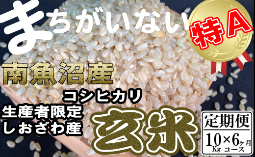 【定期便】玄米 生産者限定 南魚沼しおざわ産コシヒカリ10Kg×6ヶ月