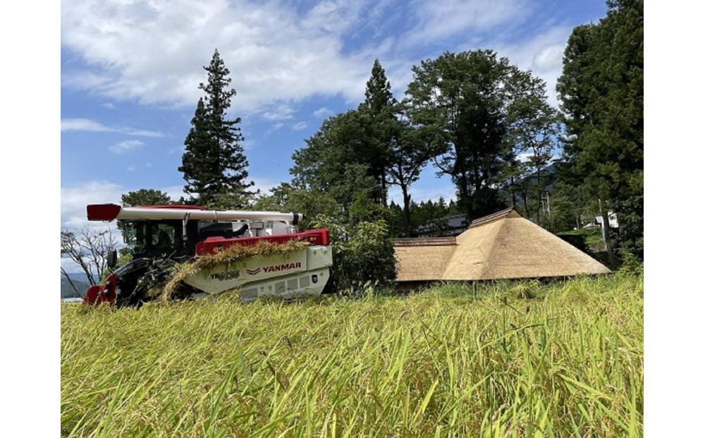 【令和7年度】【頒布会】日本のお米の最高峰　山間地米　南魚沼産コシヒカリ5kg×2　　6カ月