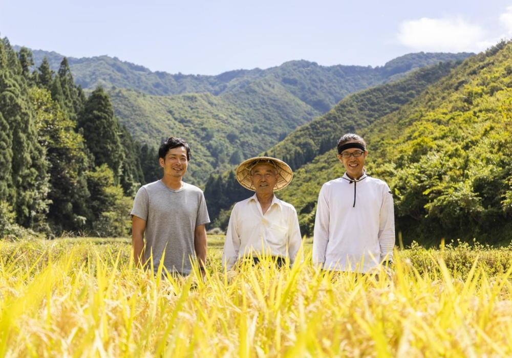 【定期便】【令和7年産】5kg×6ヶ月　最高金賞受賞  栽培期間中農薬5割減栽培　南魚沼産コシヒカリ「こまがた家のお米」
