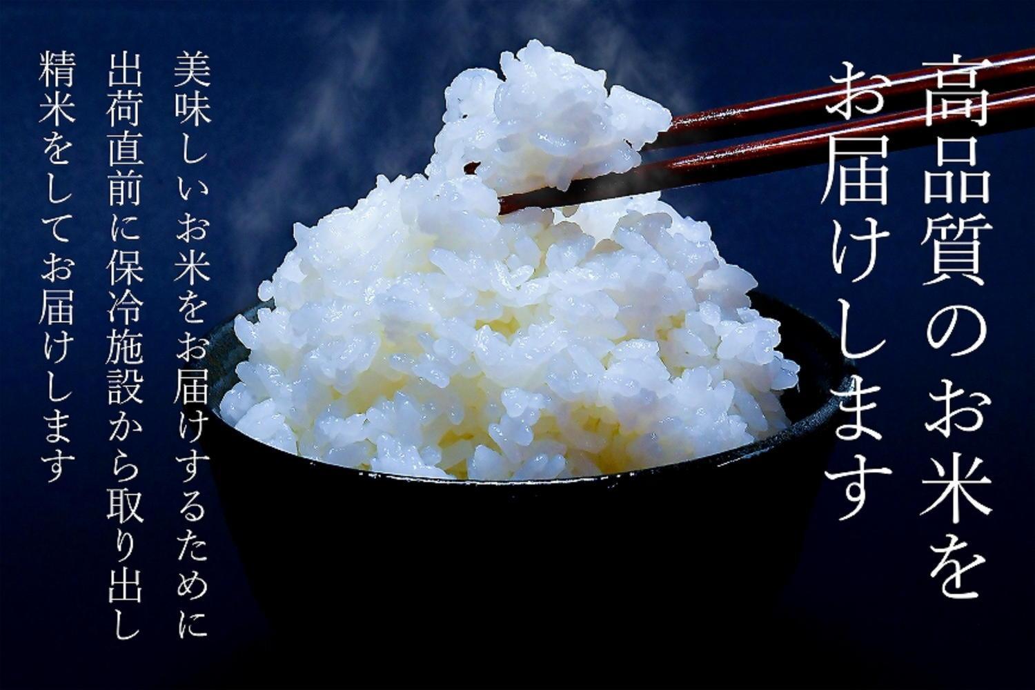 【令和6年産新米予約】南魚沼食味コンクール3年連続優秀賞　塩沢地区限定米10kg　南魚沼塩沢産コシヒカリ