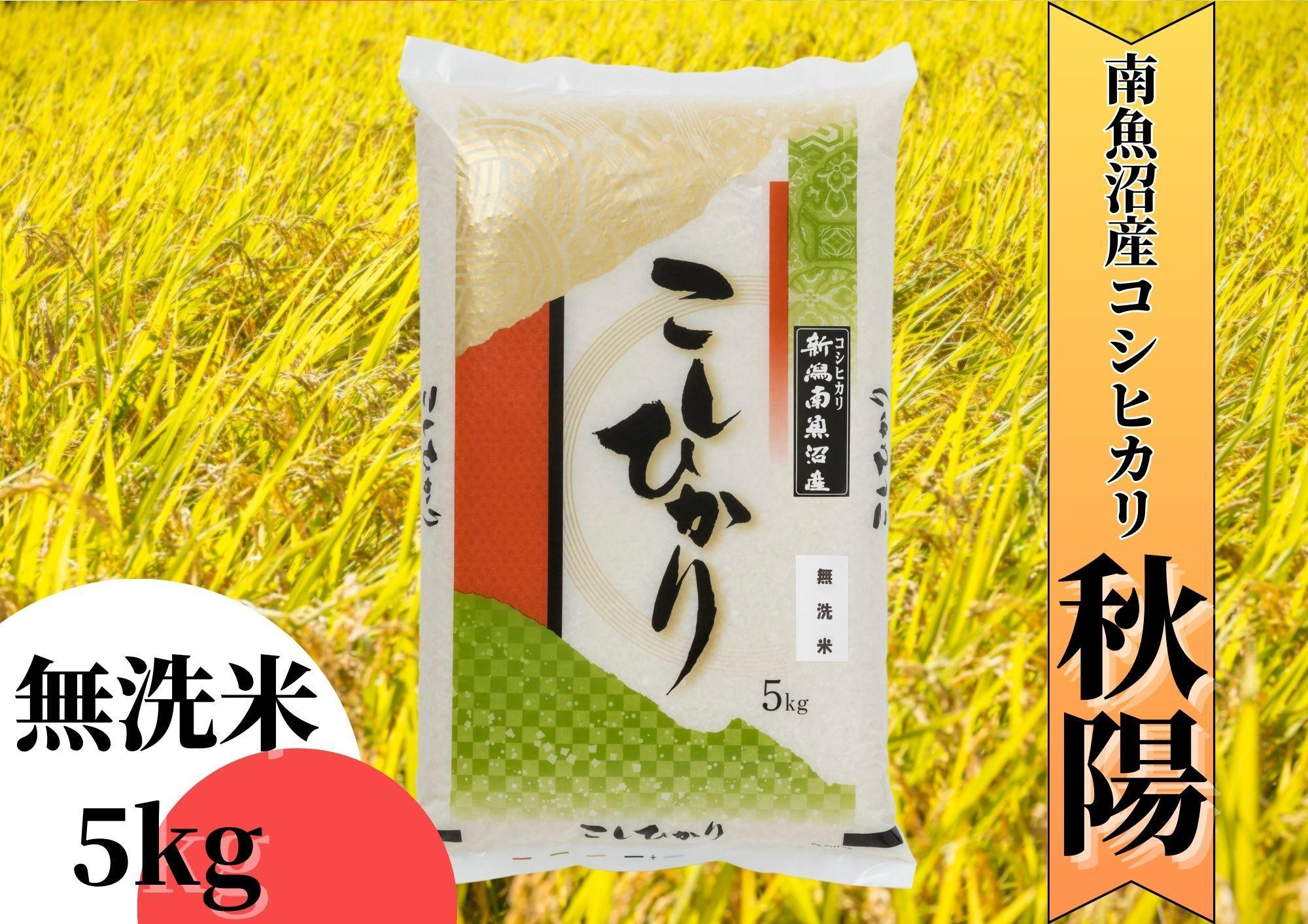 【令和7年産】南魚沼産コシヒカリ「秋陽」（無洗米5kg）新潟県の特A地区南魚沼市の美味しいお米
