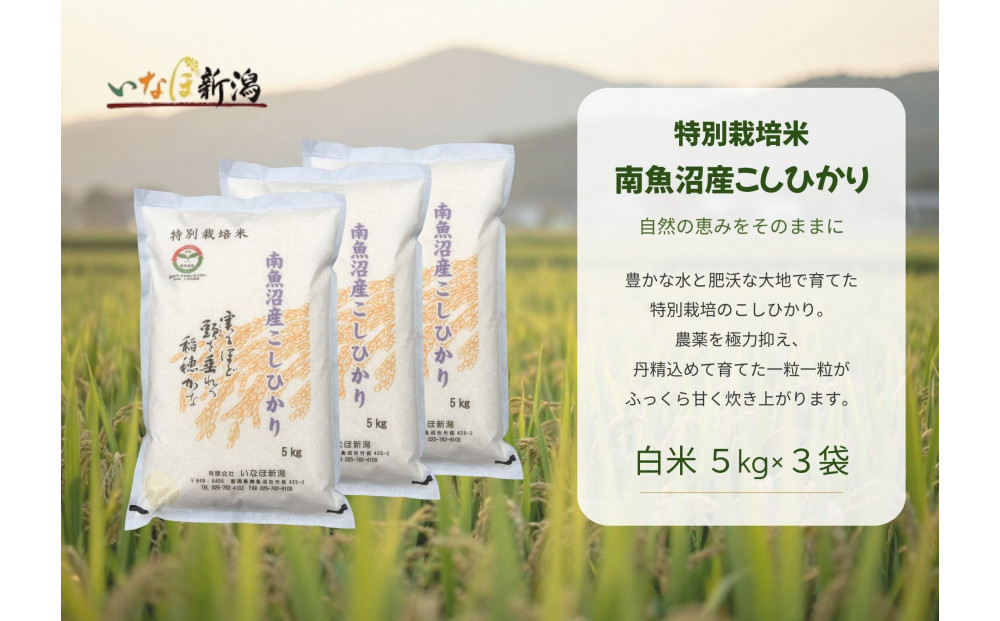 【令和８年産新米予約】 南魚沼産コシヒカリ特別栽培米 白米 15kg(5kg×3)【2026年9月下旬より1ヶ月以内に順次発送予定】
