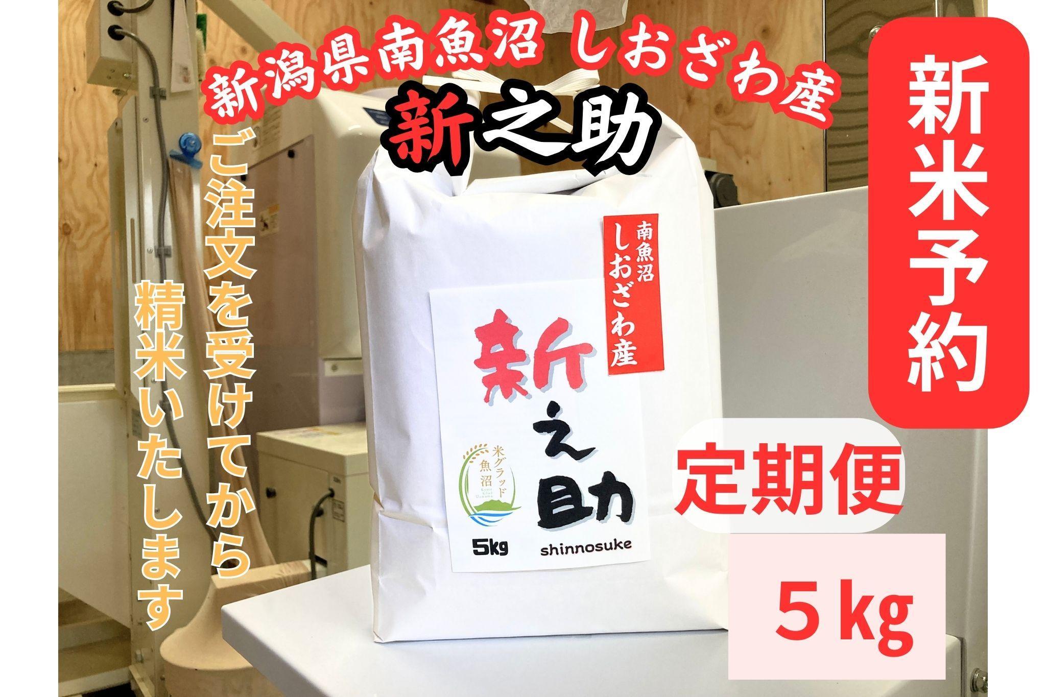 【令和8年産・新米予約・定期便】新潟県南魚沼産　新之助　5kg×６か月　大粒でツヤがあるこれまでにないお米【2026年10月中旬より1ヶ月以内に順次発送予定】