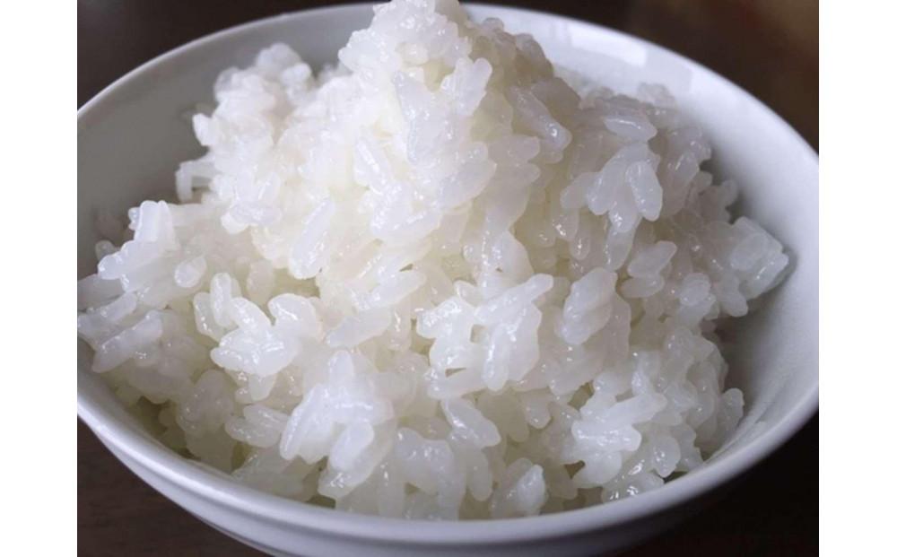 【頒布会】R7年産　最優秀賞受賞【8割減農薬】最高峰南魚沼産こしひかり10kg（5kg×2）×12ヶ月　桑原農産のお米(精米)