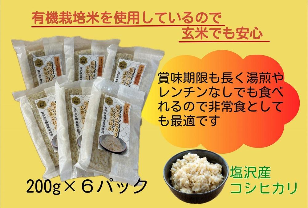  南魚沼産コシヒカリ 玄米パックごはん　200g×６食セット