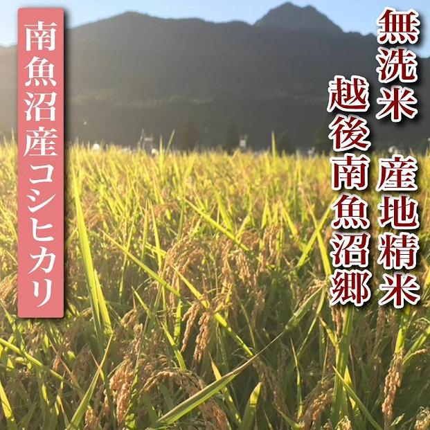 【令和7年産】【定期便】無洗米20Kg×全6回　越後南魚沼郷  南魚沼産コシヒカリ（5kg×4袋）