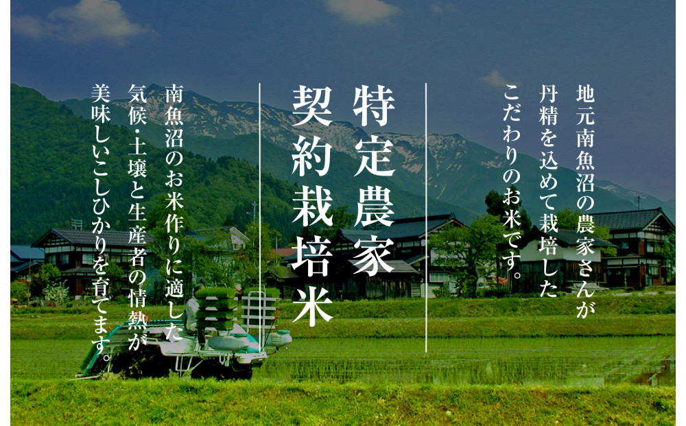 éªæž©ç²Ÿæ³ åéæ²Œç£ããã²ãã3kg å¥çŽæ œå¹ éªèµè²¯èµç±³