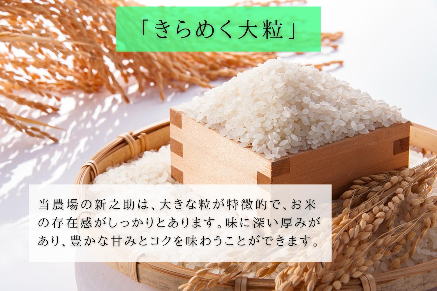 【R7年産】金賞 南魚沼産新之助 白米2kg×5 きらめく大粒！ ひらくの里ファーム