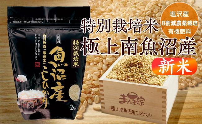 【令和8年産新米予約】特別栽培米「極上南魚沼産コシヒカリ」（有機肥料、8割減農薬栽培）玄米８ｋｇ【2026年10月上旬より1ヶ月以内に順次発送予定】
