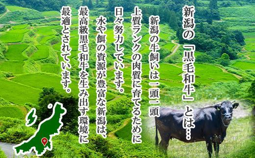 ãç¡å°çšæãæ°æœåç åéæ²Œç£ ã«ããã 黿¯åç ãµãŒãã€ã³ã¹ããŒã 200ïœÃ2æ 2äººå æ°æœç åéæ²Œåž