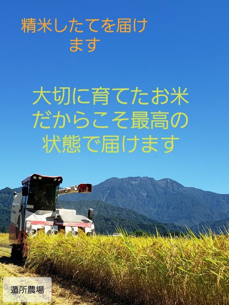 【令和8年産新米予約】南魚沼産コシヒカリ　無洗米５ｋｇ【2026年10月中旬から1ヶ月以内に順次発送予定】