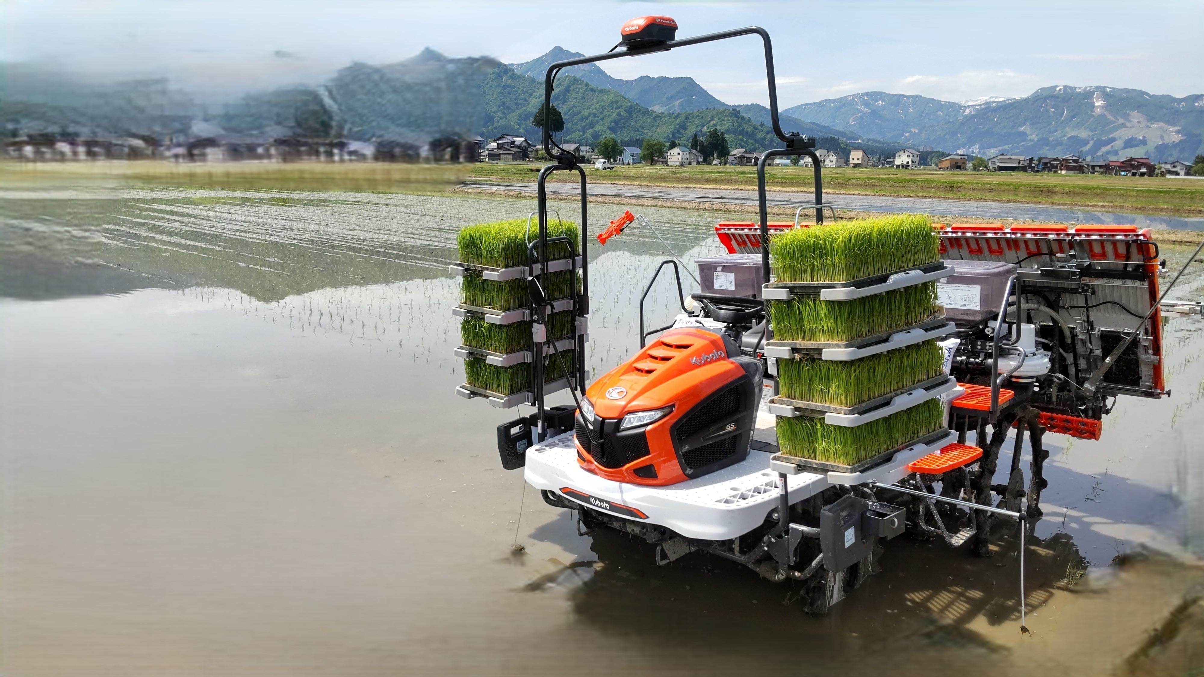 縲蝉サ、蜥7蟷エ縲第眠貎溽恁隱崎ィシ迚ケ蛻・譬ス蝓ケ邀ウ鬲壽イシ逕」縺励♀縺悶o繧ウ繧キ繝偵き繝ェ邇邀ウ5kg