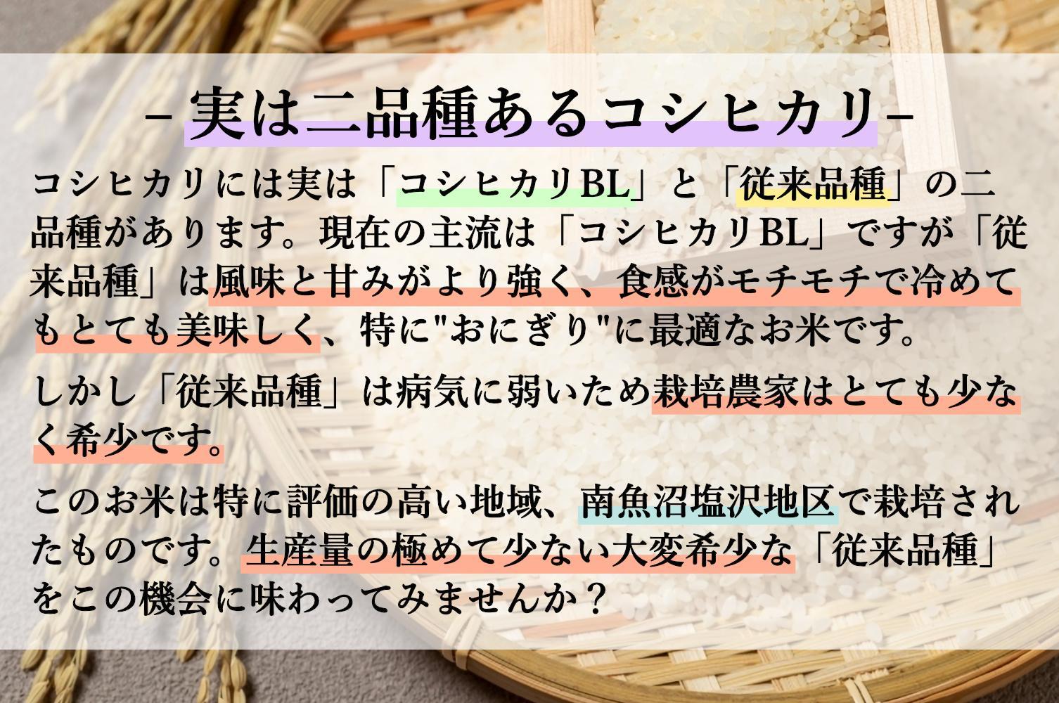 【6年産新米発送　精米10ｋｇ×9ヶ月　定期便】　令和6年10月中旬より順次発送　南魚沼塩沢産従来コシヒカリ