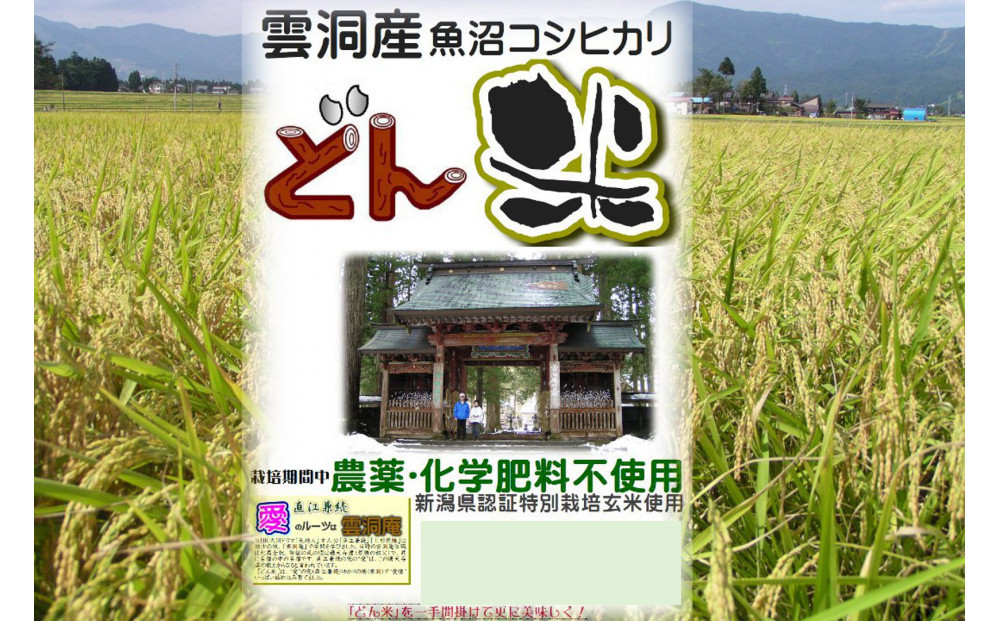 【頒布会】南魚沼産「どん米」白米５升×５ヶ月　ちょっと！うるさいよ！炊き方
