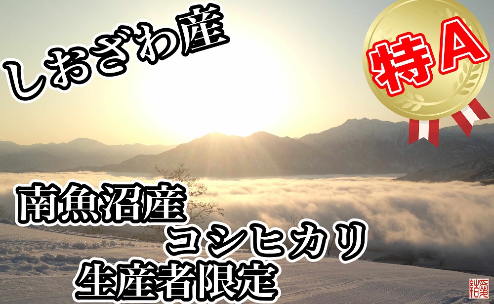 【定期便／5kg×9ヶ月】生産者限定 契約栽培 南魚沼しおざわ産コシヒカリ