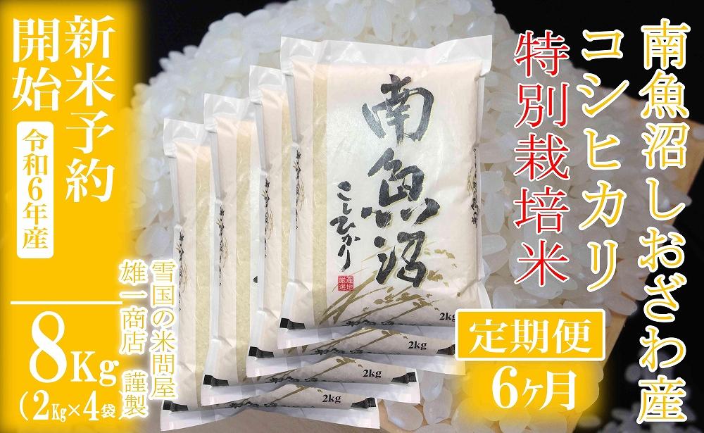 【新米予約・令和6年産】定期便6ヶ月：精米8Kg※特別栽培※ 生産者限定 南魚沼しおざわ産コシヒカリ