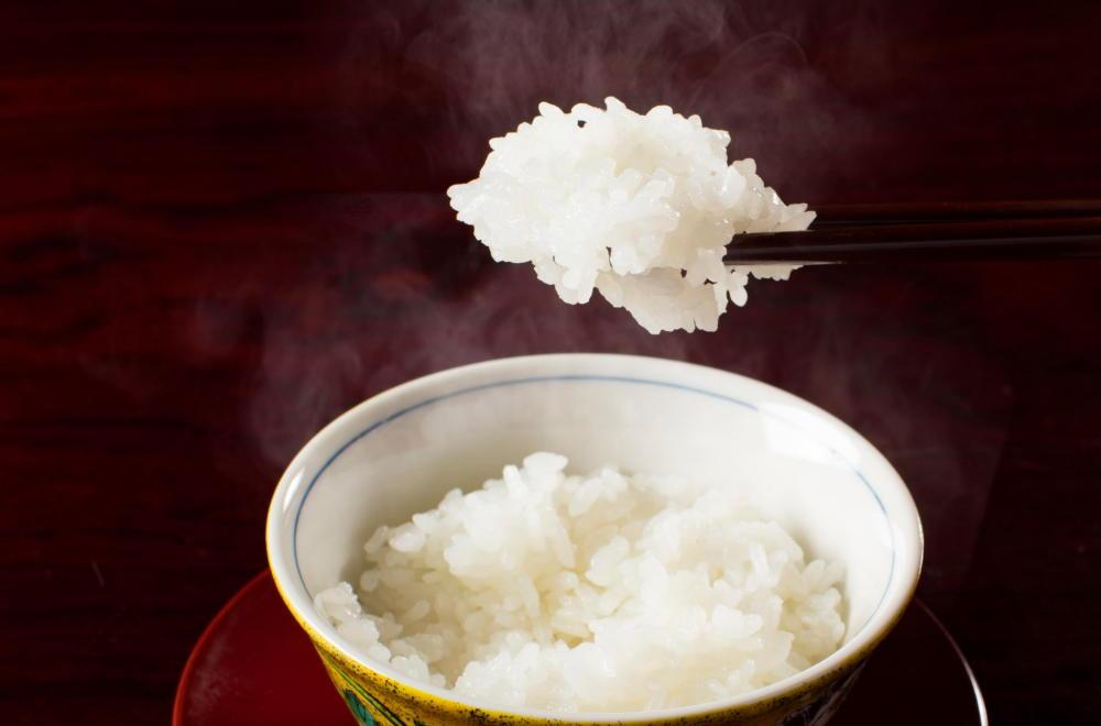 【令和6年産 新米】南魚沼産コシヒカリ（玄米20kg×全6回）新潟県 特A地区の美味しいお米。