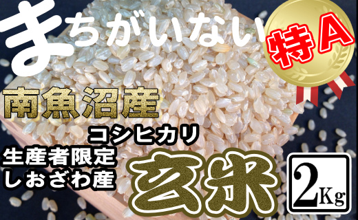【令和7年産】玄米 生産者限定 南魚沼しおざわ産コシヒカリ2Kg