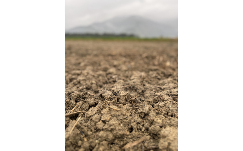 縲蝉サ、蜥7蟷エ逕」縲大漉鬲壽イシ蝪ゥ豐「逕」繧ウ繧キ繝偵き繝ェシ忱usuiシ10kg逋ス邀ウ