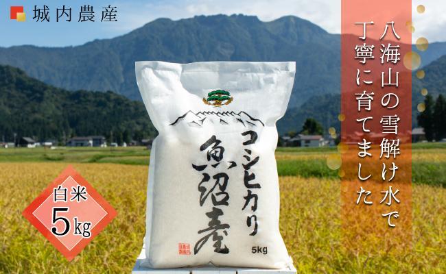 南魚沼産コシヒカリ　白米５ｋｇ【５割減農薬栽培米】 城内農産 令和７年