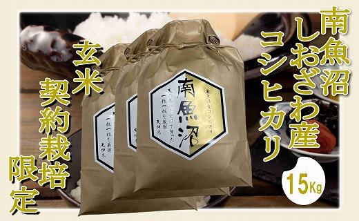【令和7年産】【玄米１５Kg】●玄米● 生産者限定 南魚沼しおざわ産コシヒカリ