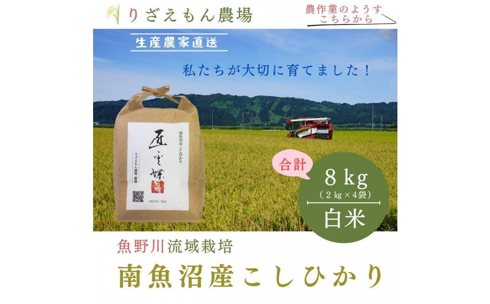 《新米予約》白米8kg　令和６年産　南魚沼産　コシヒカリ　こしひかり　魚野川流域　匠 雲蝶(たくみ　うんちょう）＼生産農家直送／