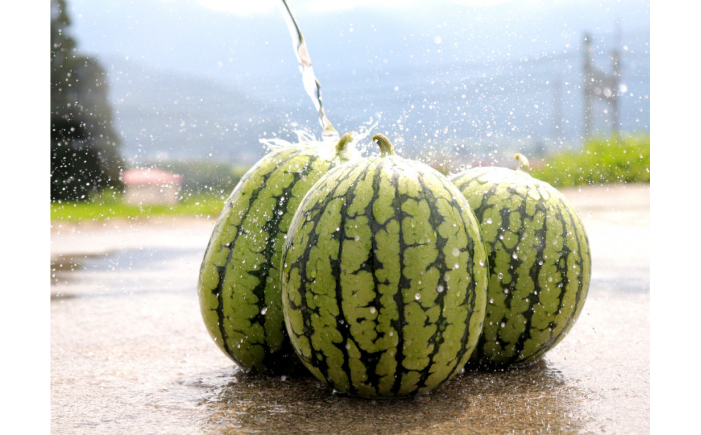 ã什å8幎/å°çãããäºçŽãããªïŒã·ã£ãªïŒçïœãïŒ2çå
¥ããé£ã¹ãããµã€ãºãã2026幎7æäžæ¬ããçºéäºå®ã