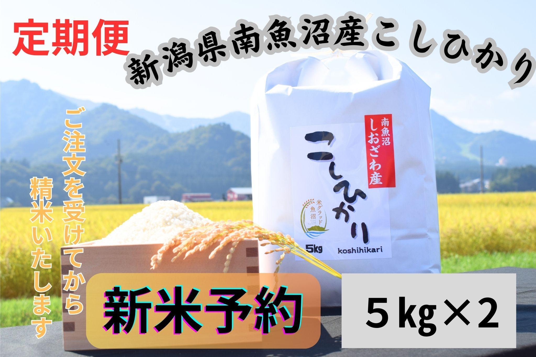 【新米予約・定期便】南魚沼しおざわ産コシヒカリ　10キロ×12か月