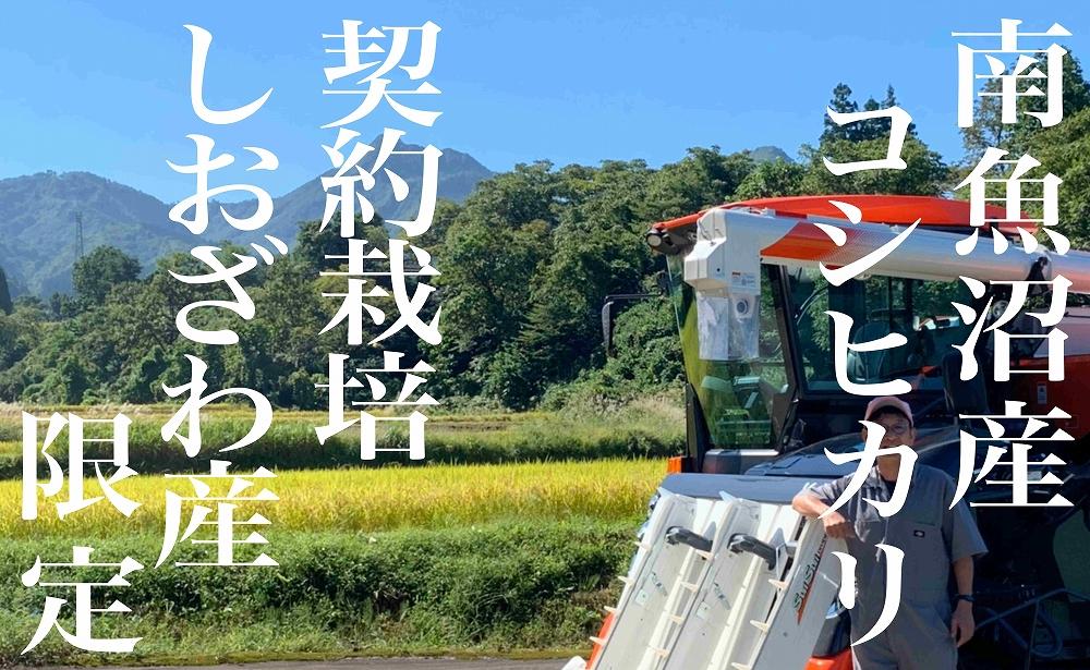 【新米予約・令和6年産】頒布会12ヶ月：精米2Kg 生産地限定 南魚沼しおざわ産コシヒカリ