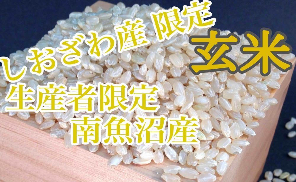 【15kg】玄米 しおざわ産限定 生産者限定 南魚沼産コシヒカリ