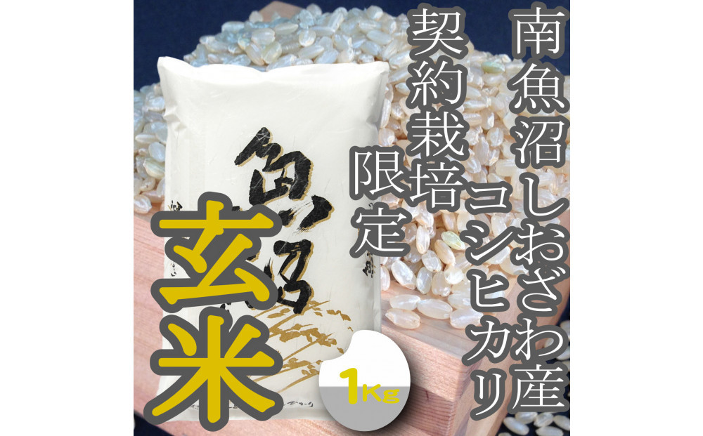 【令和8年産　新米予約】玄米【1Kg】 生産者限定 南魚沼しおざわ産コシヒカリ【銘柄米 玄米 こしひかり コシヒカリ 魚沼産 新潟米 お米 米 こめ コメ ご飯 御飯 ごはん】【2026年10月上旬より1ヶ月以内に順次発送予定】