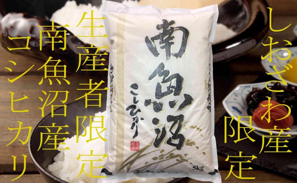 【令和7年産】【定期便20kg×12ヶ月】しおざわ産限定 生産者限定 南魚沼産コシヒカリ