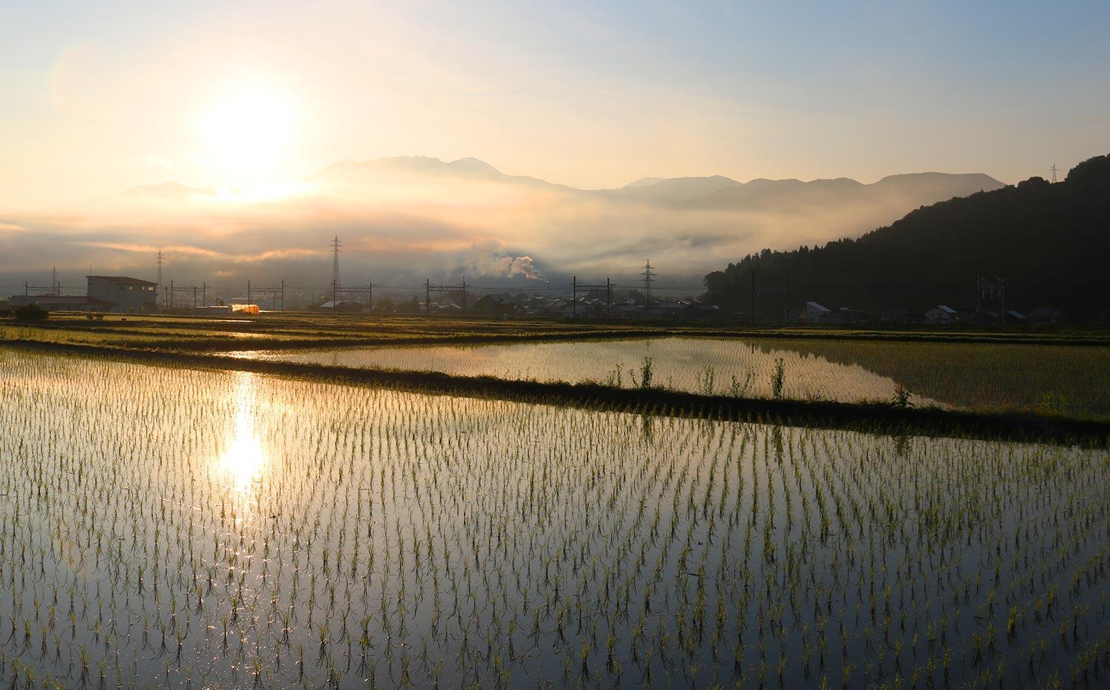 新米予約【令和6年産】精米2kg 南魚沼産ぴかまる・国際総合部門金賞受賞_AG