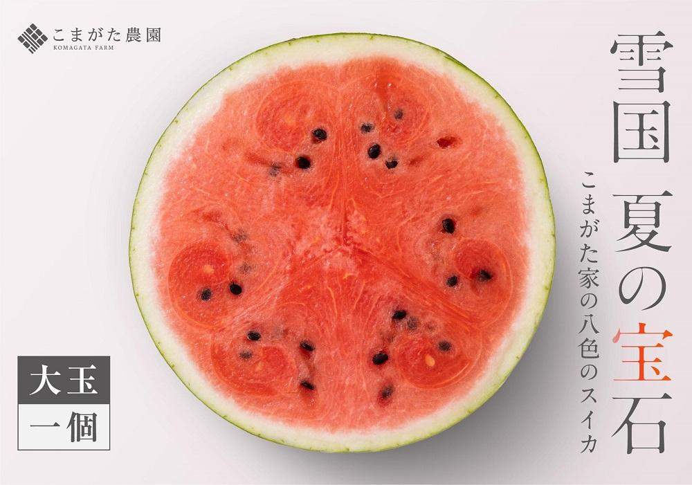 【2026年7月下旬〜8月上旬順次発送予定】高級南魚沼八色産スイカ「こまがた家の八色のスイカ」プレミアム大玉 1玉【西瓜 スイカ すいか 大玉 季節限定 果物 フルーツ ギフト 名産地 産地直送 シャキシャキ 厳選 デザート 新潟県】