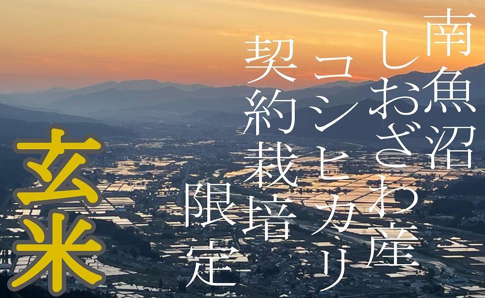 ã什å7幎ç£ããå®æäŸ¿4KgÃ3ã¶æãâçç±³â çç£è
éå® åéæ²Œããããç£ã³ã·ãã«ãªãå®æäŸ¿ éæç±³ ãã©ã³ãç±³ çç±³ ããã²ãã ã³ã·ãã«ãª éæ²Œç£ æ°æœç±³ ç£å°çŽé ãç±³ ç±³ ãã ã³ã¡ ã飯 埡飯 ãã¯ãã