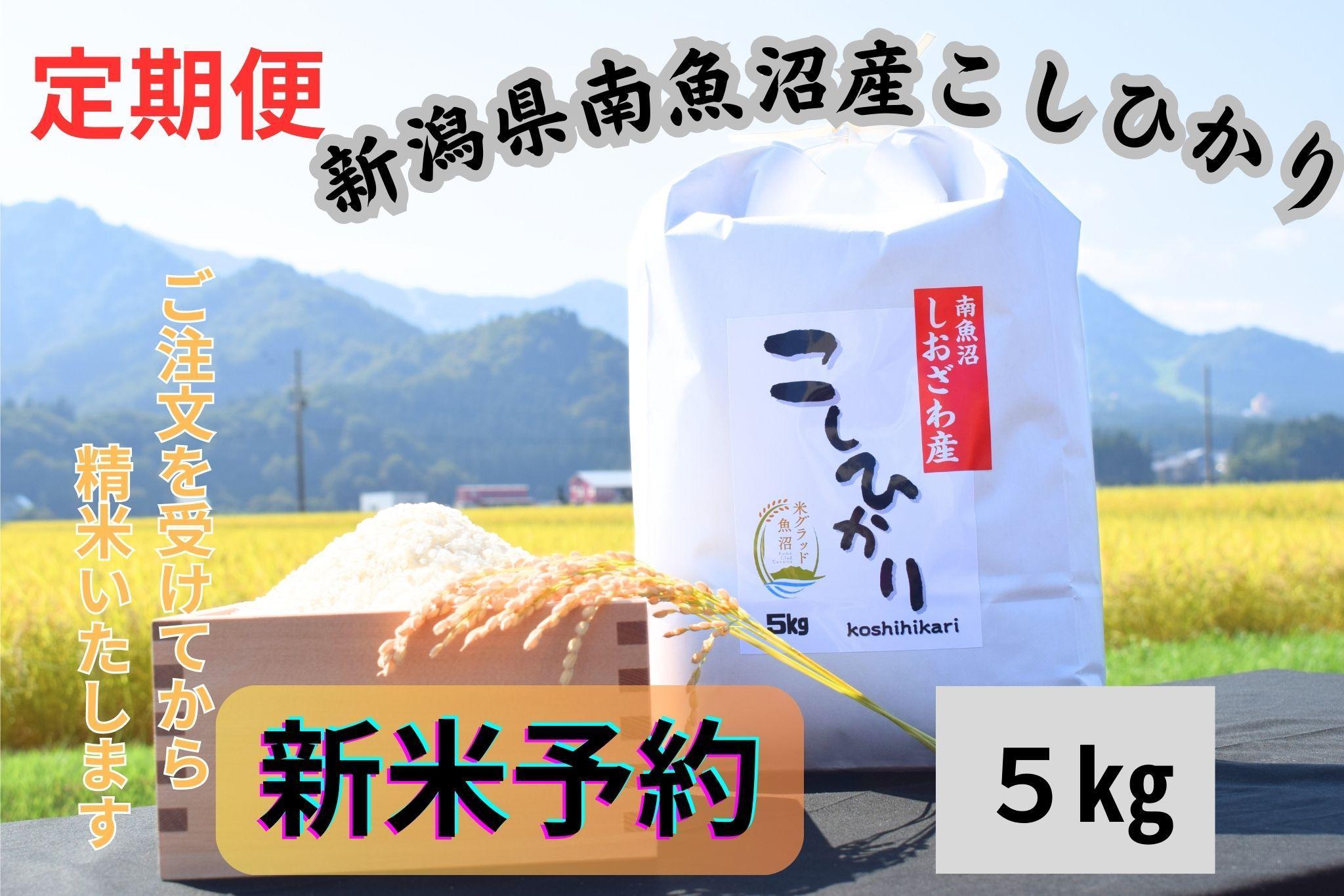 【新米予約・定期便】南魚沼しおざわ産コシヒカリ　5キロ×3か月